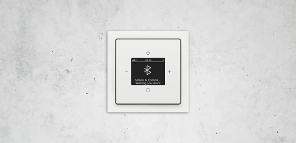 Busch-Radio Btconnect bei Elektro-Behringer GmbH & Co. KG in Hasloch
